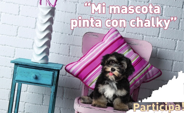 Concurso Chalky